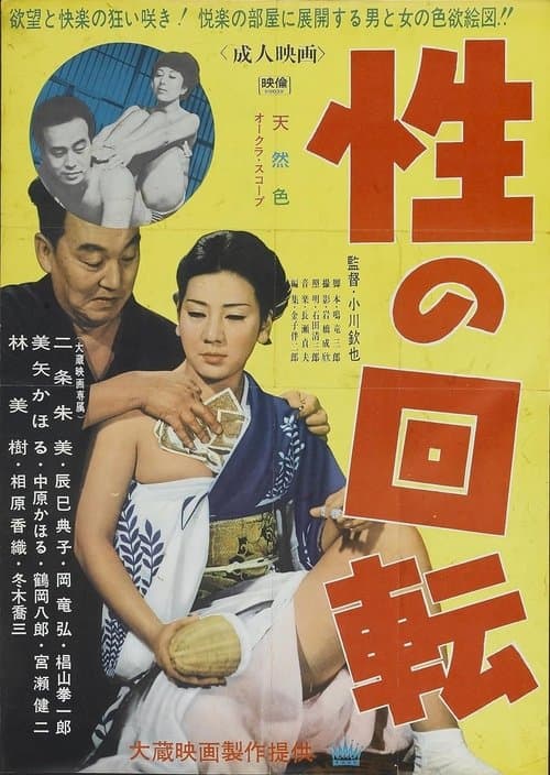 性の回転のポスター