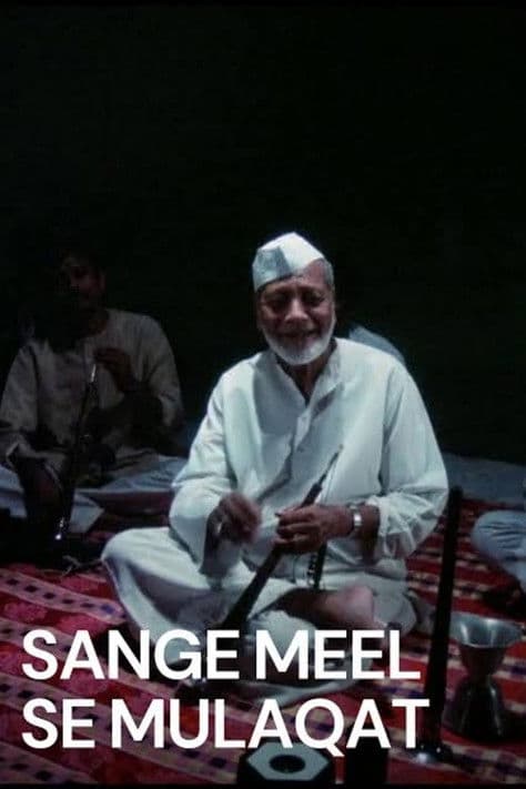 Sang-e-Meel Se Mulaqatのポスター