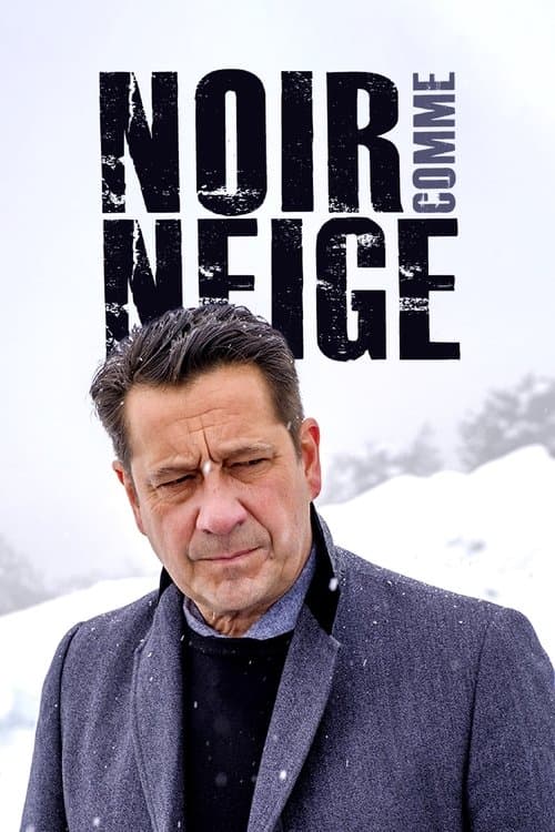 Noir comme neigeのポスター