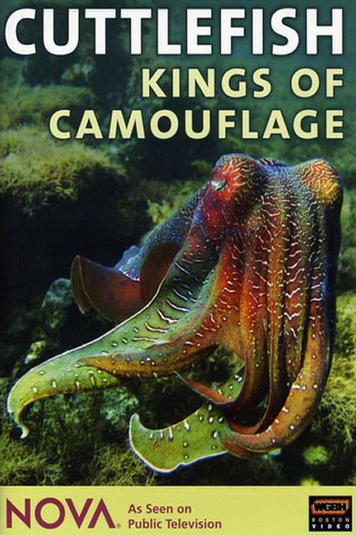 Cuttlefish: Kings of Camouflageのポスター