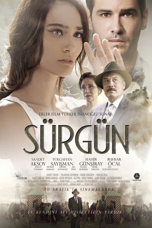 Sürgünのポスター
