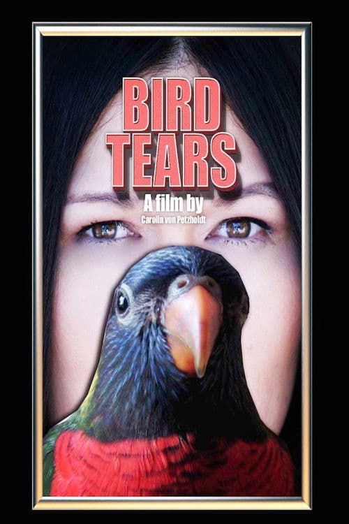 Bird Tearsのポスター