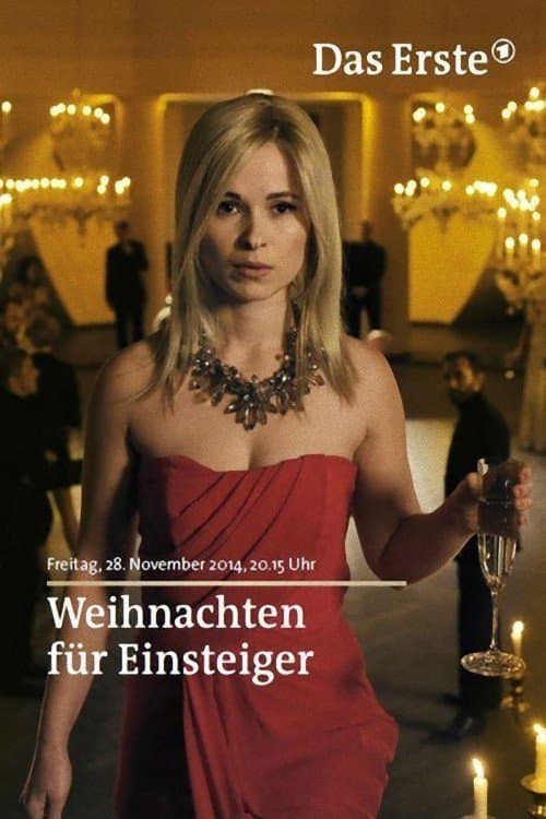 Weihnachten für Einsteigerのポスター