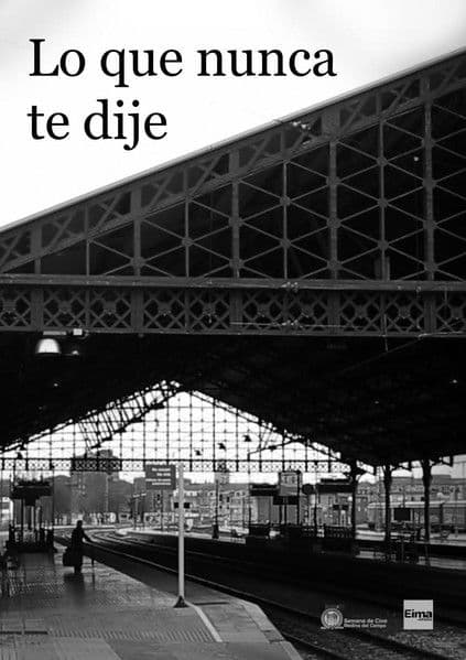 Lo que nunca te dijeのポスター