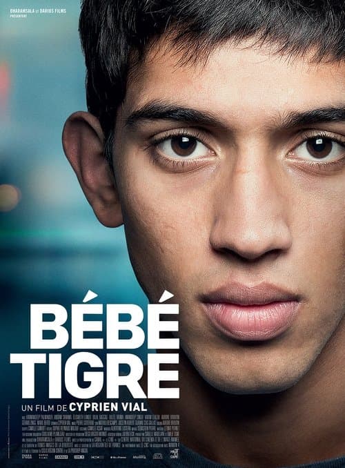 Bébé Tigreのポスター