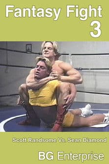 Fantasy Fight 3のポスター