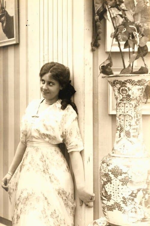 Den mystiske Fremmedeのポスター