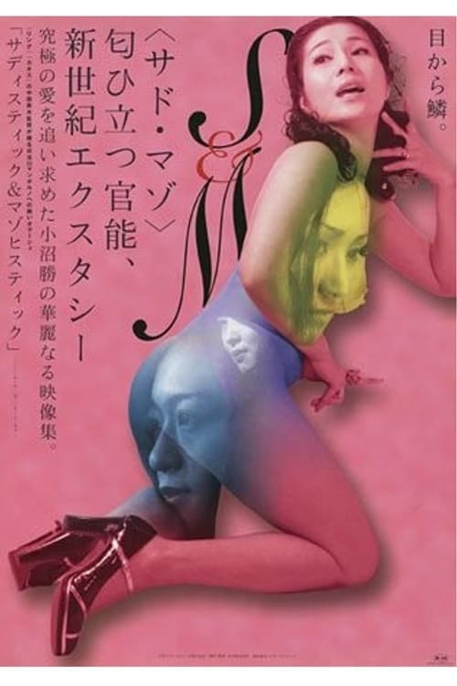 サディスティック＆マゾヒスティックのポスター