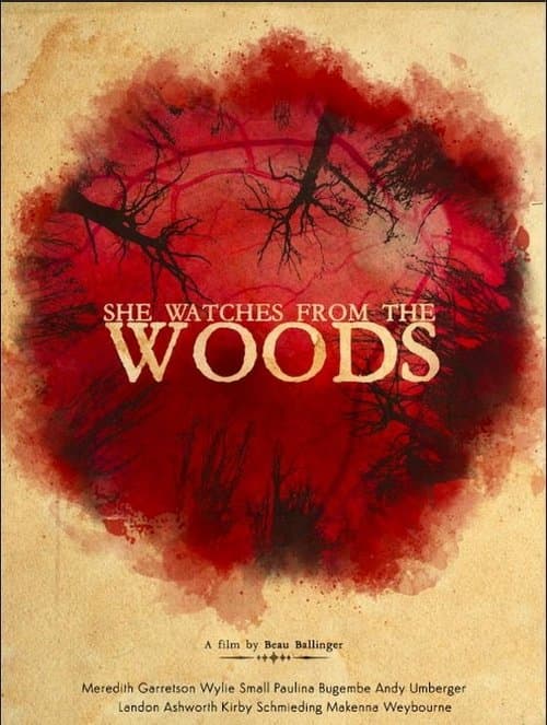 She Watches from the Woodsのポスター