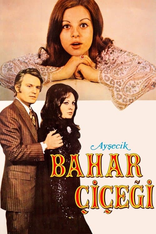 Ayşecik: Bahar Çiçeğiのポスター