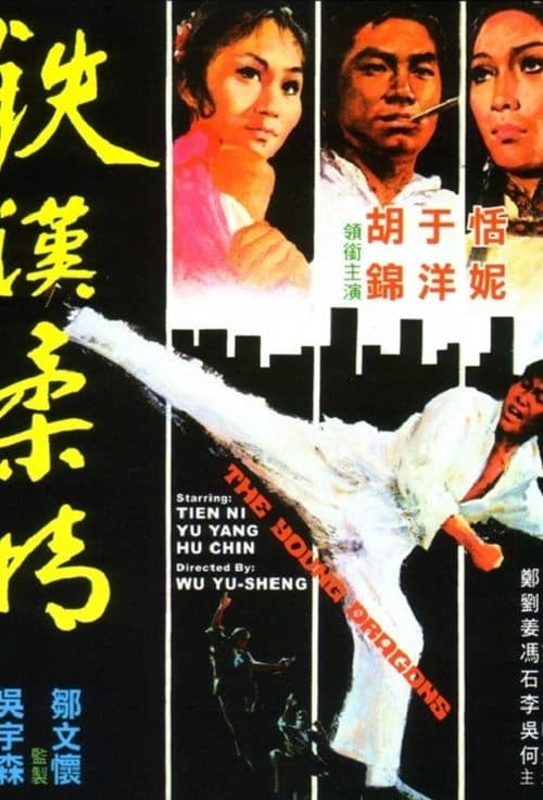 鐵漢柔情のポスター