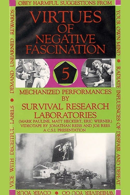 Virtues Of Negative Fascinationのポスター
