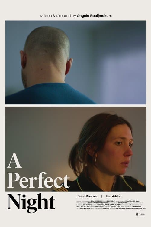 A Perfect Nightのポスター