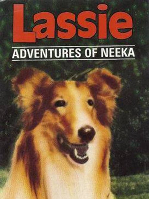 Lassie: The Adventures of Neekaのポスター