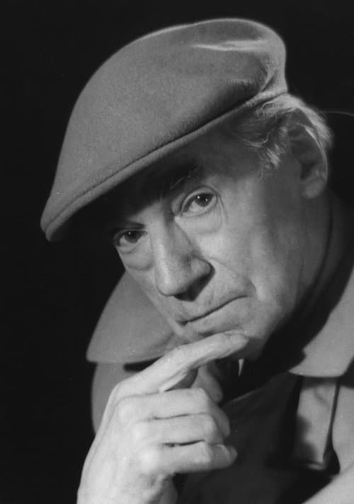 Plötzlich ist das Ende daのポスター