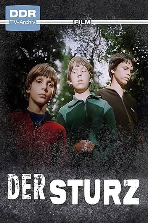 Der Sturzのポスター