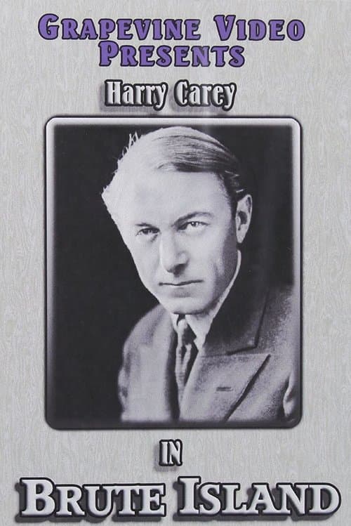 McVeagh of the South Seasのポスター