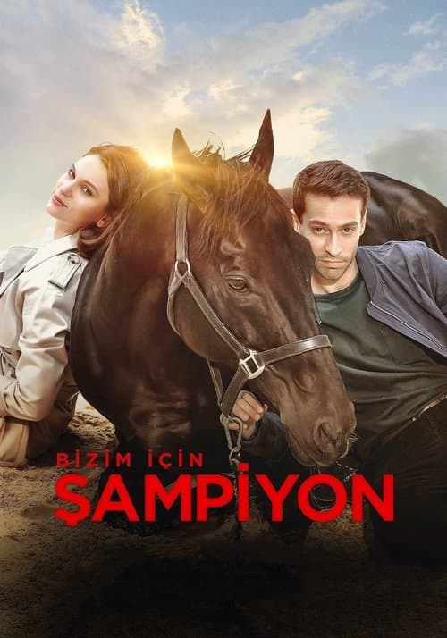 Bizim İçin Şampiyonのポスター
