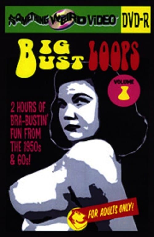 Big Bust Loops  Volume 1のポスター