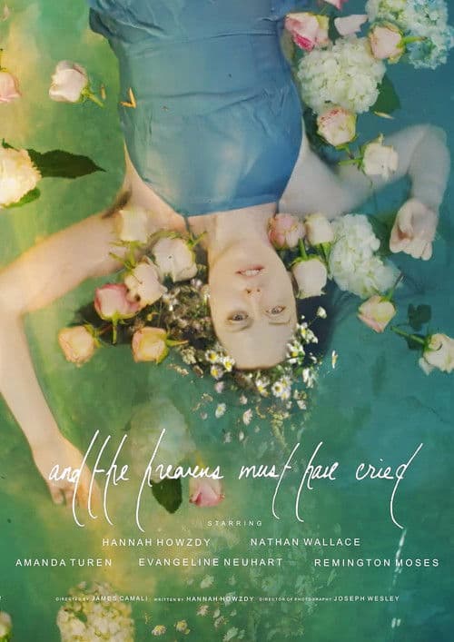 and the heavens must have criedのポスター