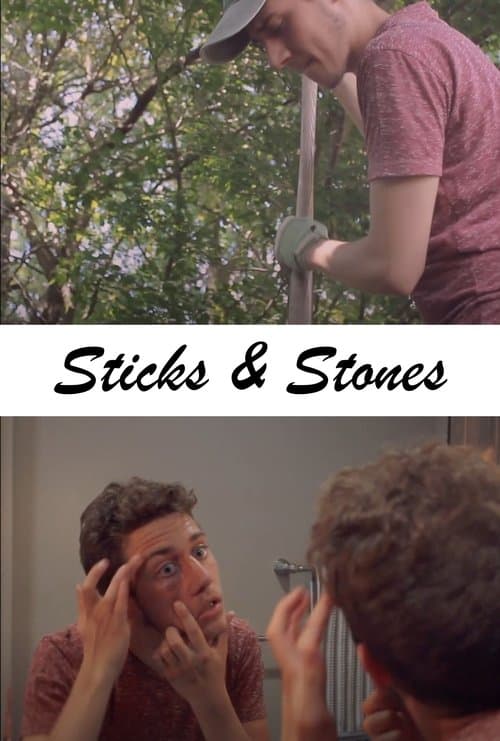 Sticks & Stonesのポスター