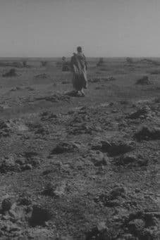 Samurais, Famílias e uma Harpa da Birmânia - Os Cinemas da Liberdadeのポスター