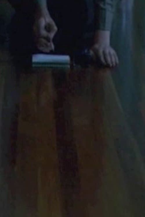 A Fairytale of the Cityのポスター