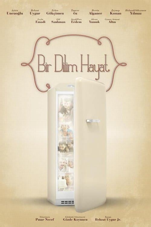 Bir Dilim Hayatのポスター