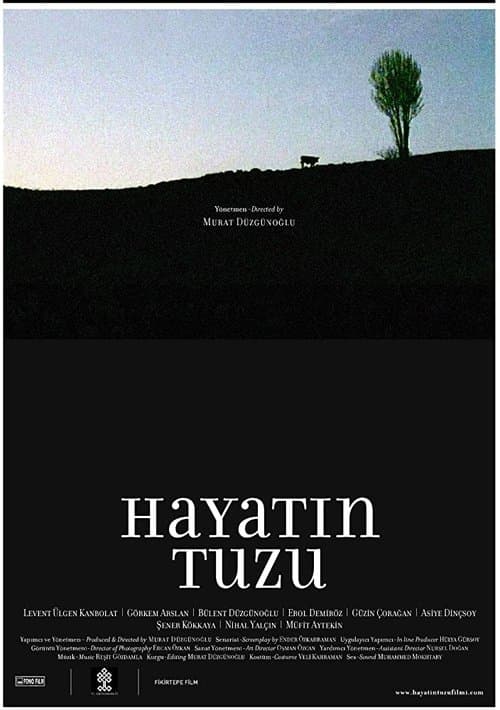Hayatın Tuzuのポスター
