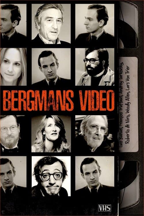 Bergmans videoのポスター