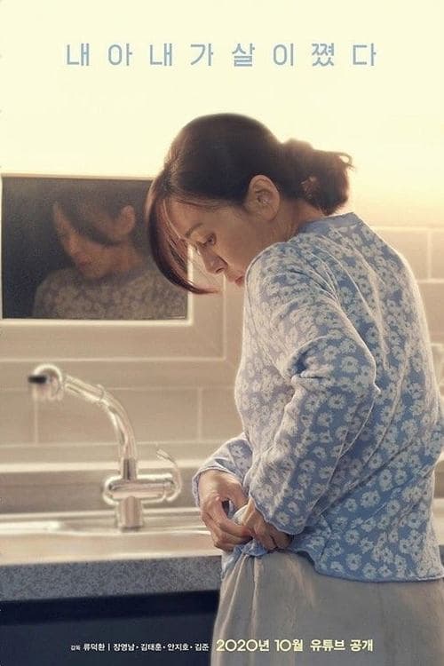 내 아내가 살이 쪘다のポスター