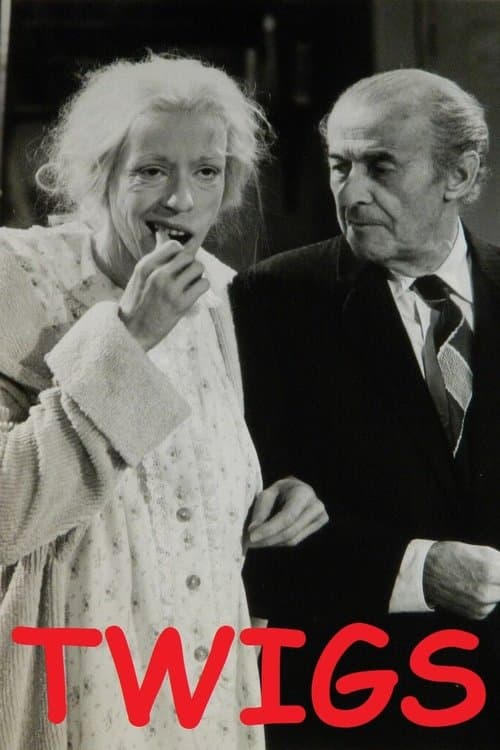 Twigsのポスター