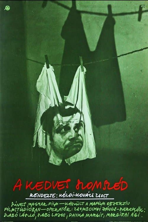 A kedves szomszédのポスター