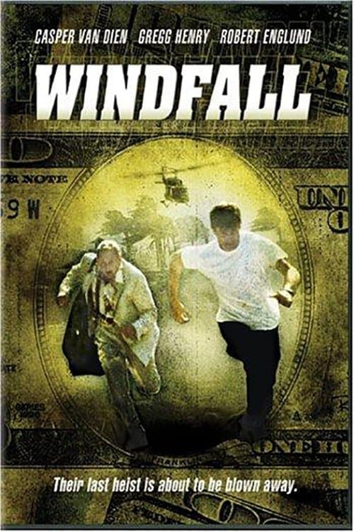 Windfallのポスター