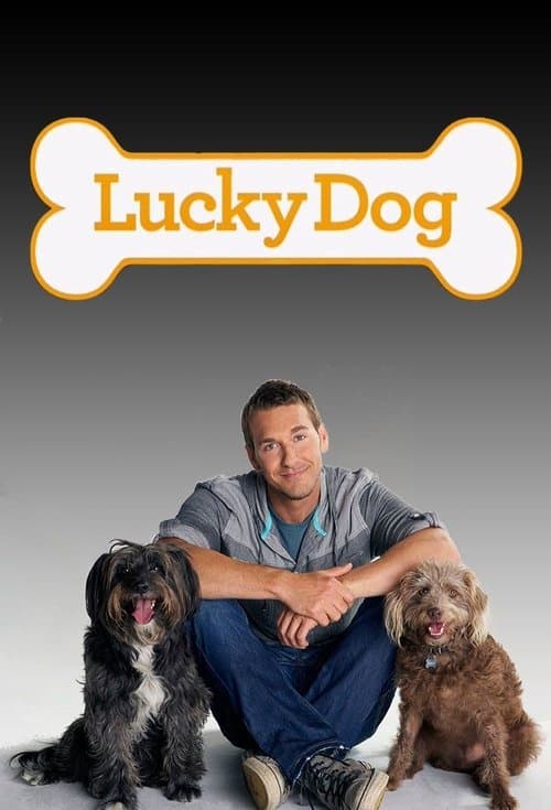 Lucky Dogのポスター