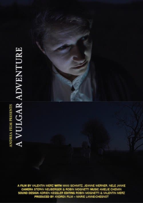 Ein Vulgäres Abenteuerのポスター