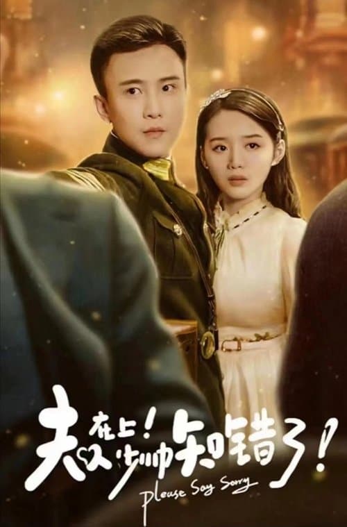 夫人在上少帅知错了のポスター