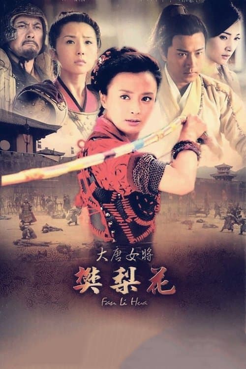大唐女将樊梨花のポスター