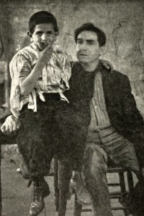 The Hungarian Nabobのポスター