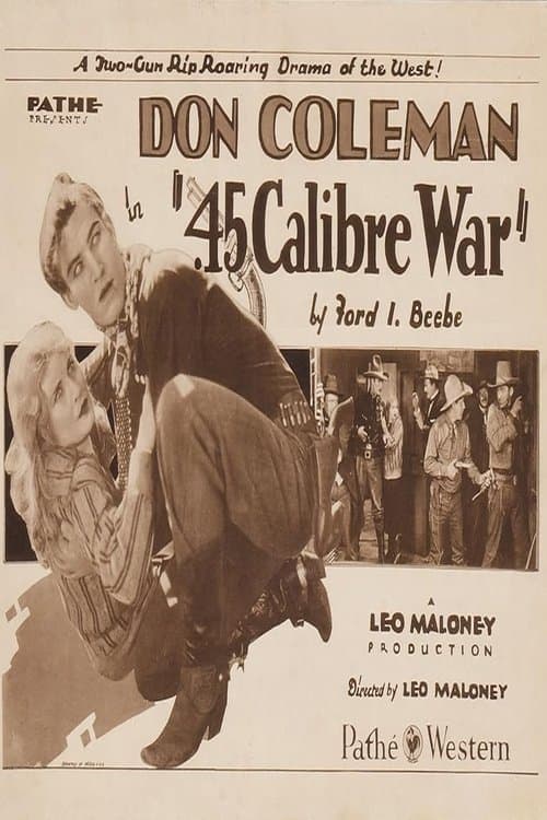 .45 Calibre Warのポスター