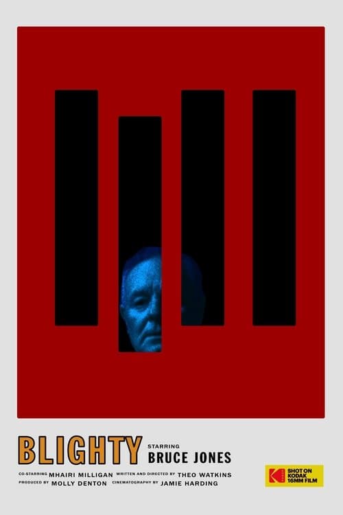 Blightyのポスター