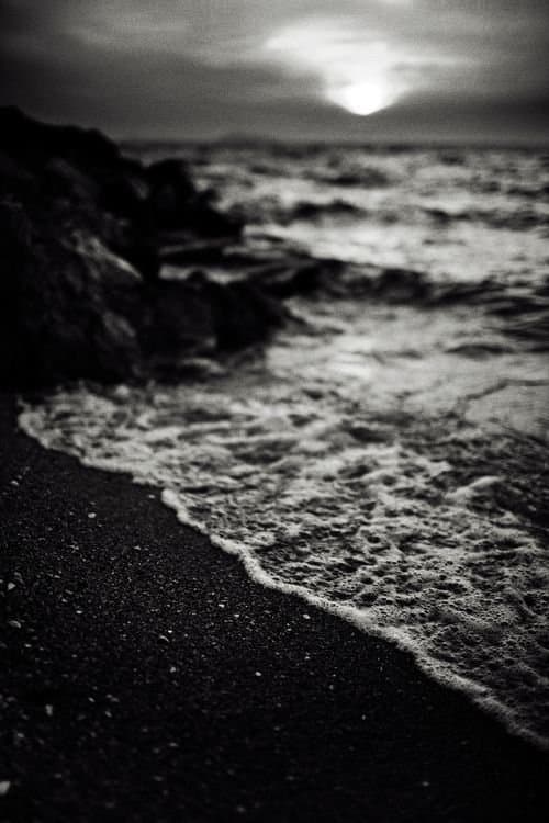 Strandgutのポスター