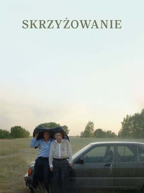Skrzyżowanieのポスター