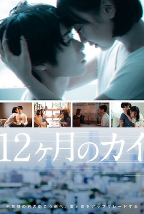 12ヶ月のカイのポスター