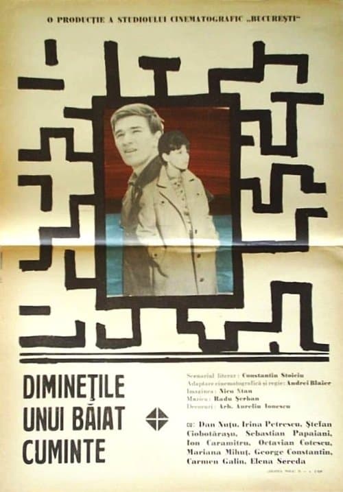 Diminețile unui băiat cuminteのポスター