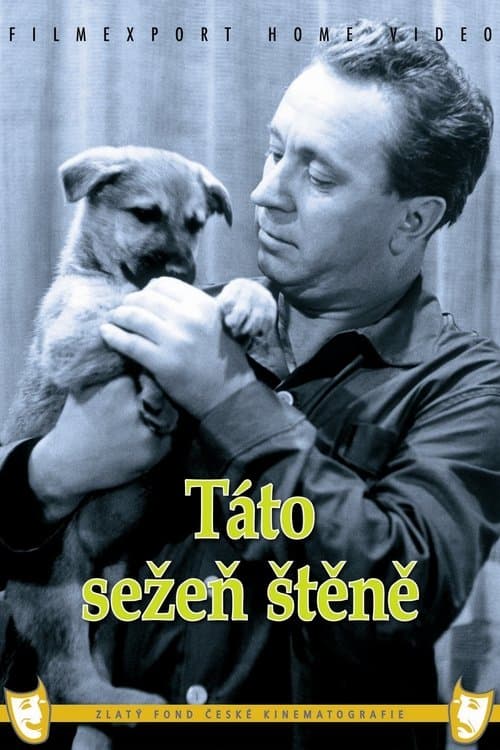 Táto sežeň štěněのポスター