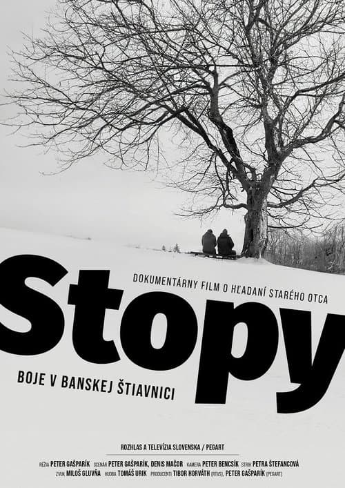 Stopy – Boje v Banskej Štiavniciのポスター