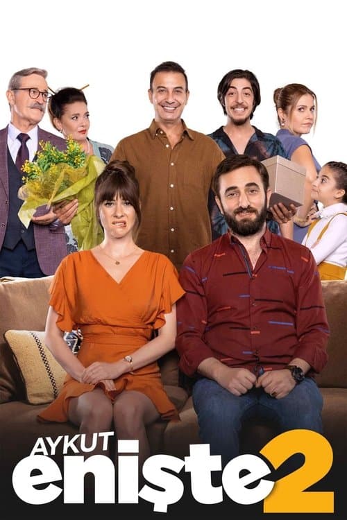 Aykut Enişte 2のポスター