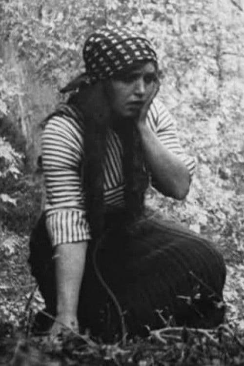 The Mountaineer's Romanceのポスター