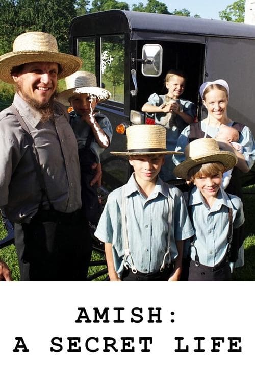Amish: A Secret Lifeのポスター